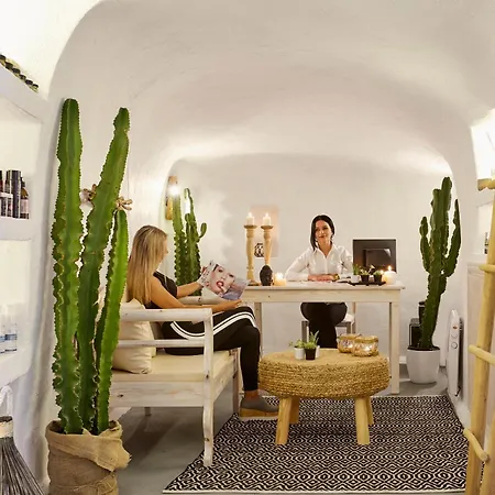 Thermes Luxury By Mr And Mrs White (adults Only) Otel Megalochori (Santorini)